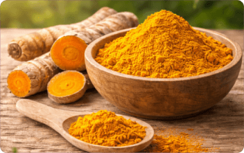 Turmeric Extract