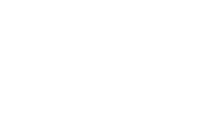 Fast shipping icon